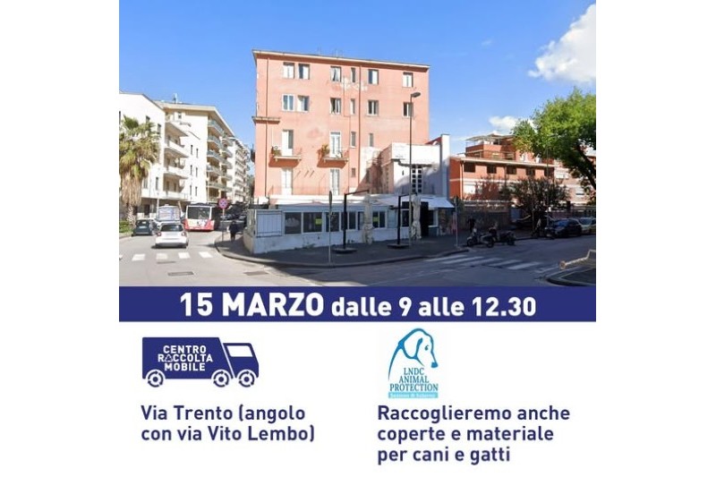 CENTRO DI RACCOLTA E RIUSO MOBILE, A MERCATELLO CON CANISSIMI AMICI