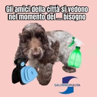 I VERI AMICI DELLA CITTA' SI VEDONO NEL MOMENTO DEL BISOGNO 