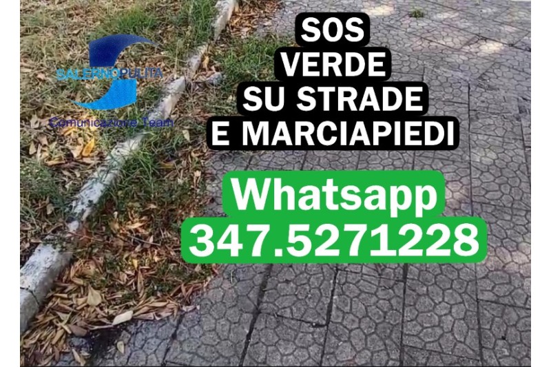 SOS NUMERO VERDE PER STRADE E MARCIAPIEDI