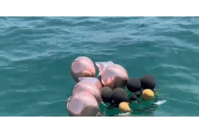 SPAZZAMARE AL LAVORO, ECCO LA PESCA DI IERI DOMENICA 22 GIUGNO