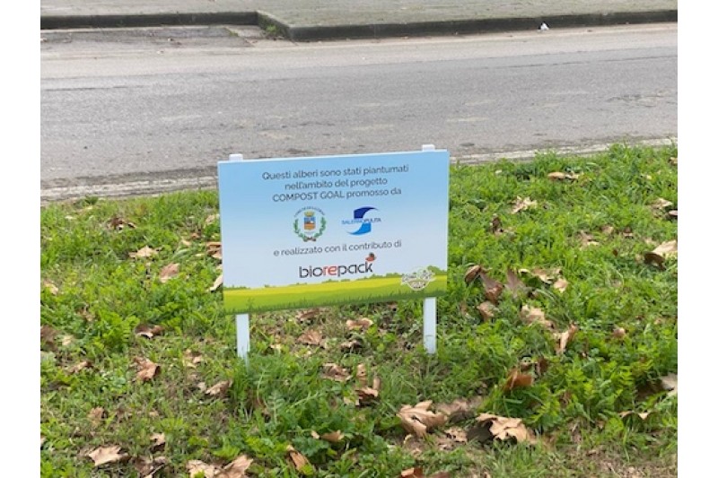 PIANTUMATI 12 GINKGO BILOBA E DUE QUERCE DA SUGHERO IN VIA FIUME